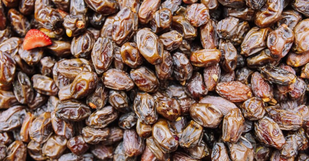 ゼンブチップスに含まれるたんぱく質や食物繊維など栄養成分を強調したイメージ画像