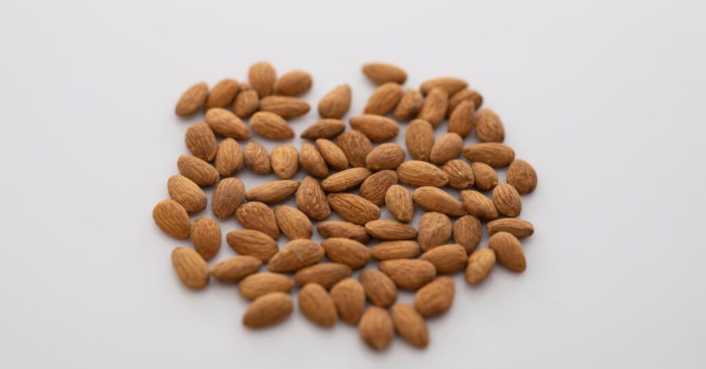 ゼンブチップスに含まれるたんぱく質や食物繊維など栄養成分を強調したイメージ画像