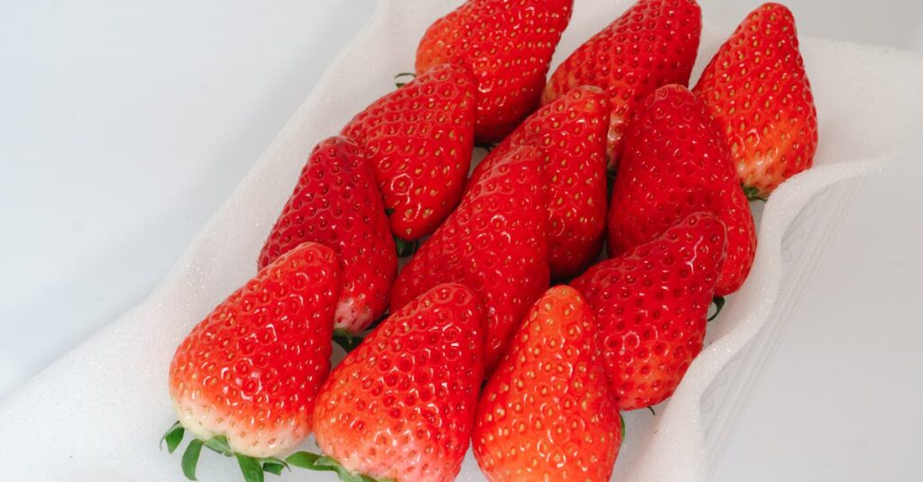 完熟した赤い苺のヘタが反り返ってツヤがある状態の接写