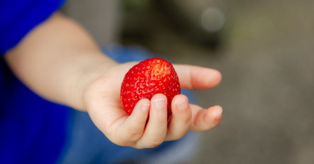 奈良県宇陀市の山間にあるいちごの森で自然光の下いちご狩りをする様子