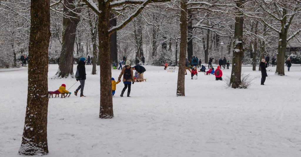 関西の子連れ家族が楽しむ雪遊びスポットの紹介イメージ画像