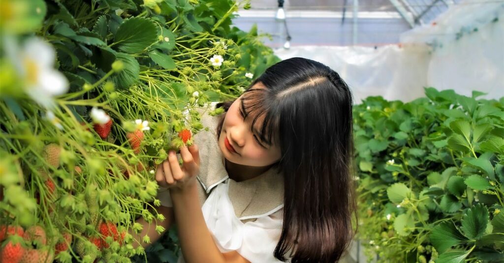 いちご狩りの予約サイトをスマートフォンで確認する手元の写真