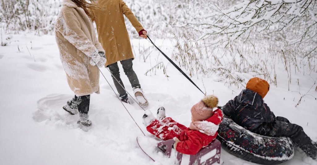 関西の子連れ家族が楽しむ雪遊びスポットの紹介イメージ画像